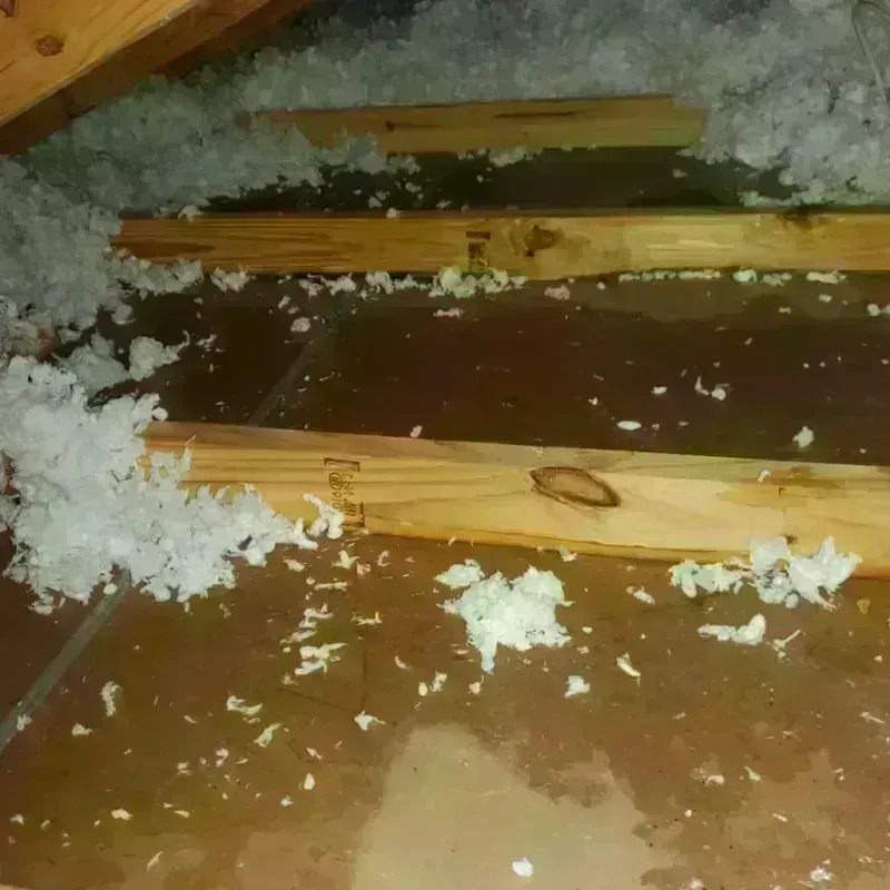 Attic Water Damage in Brookville, PA